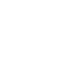 Bridge icon