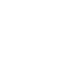 Cog wheel silhouette icon