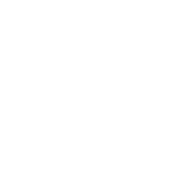 Fireworks icon