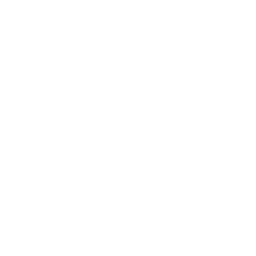 Light bulb icon